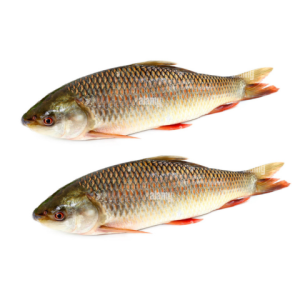 Rui Fish Cut 1kg